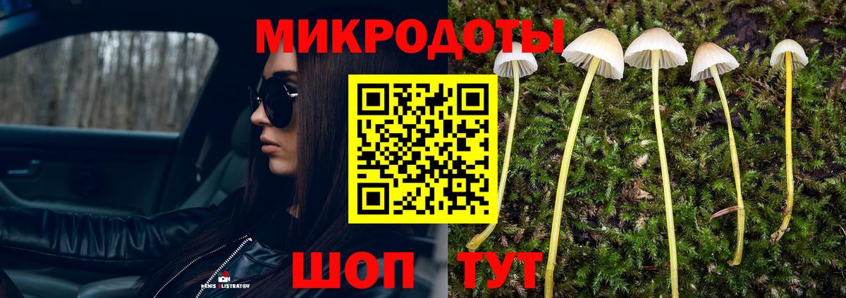 Галлюциногенные грибы Cubensis Крымск